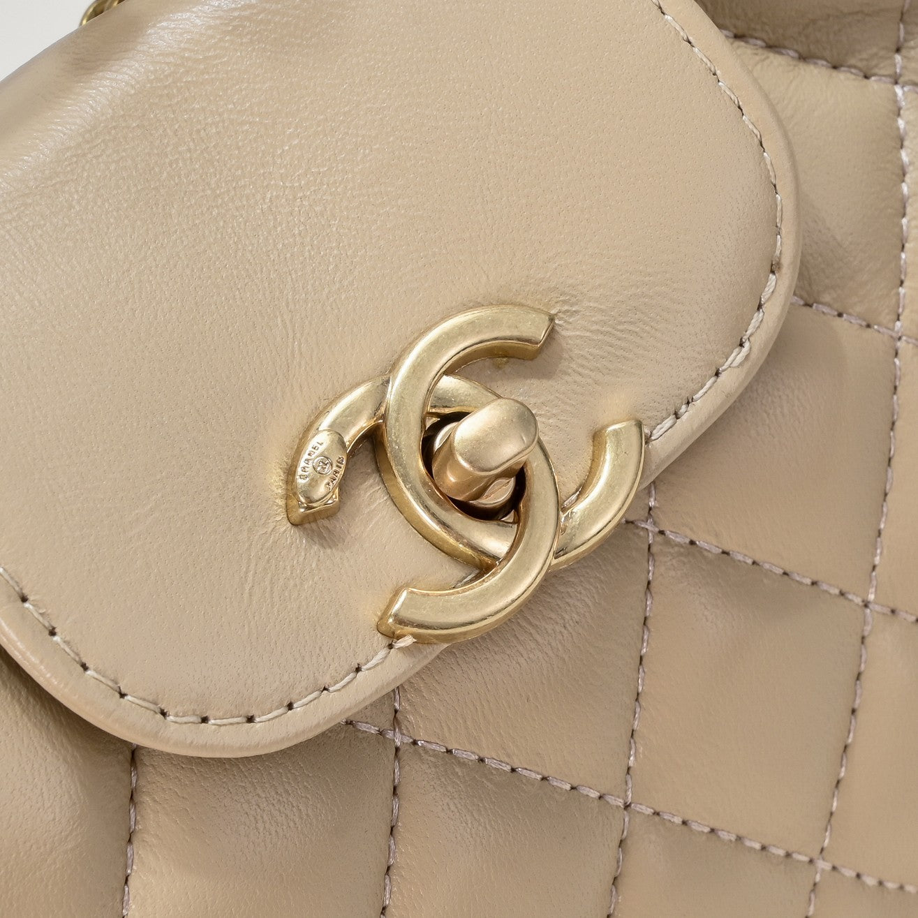 CAMELLIAS 19CM 6170 PALE BROWN