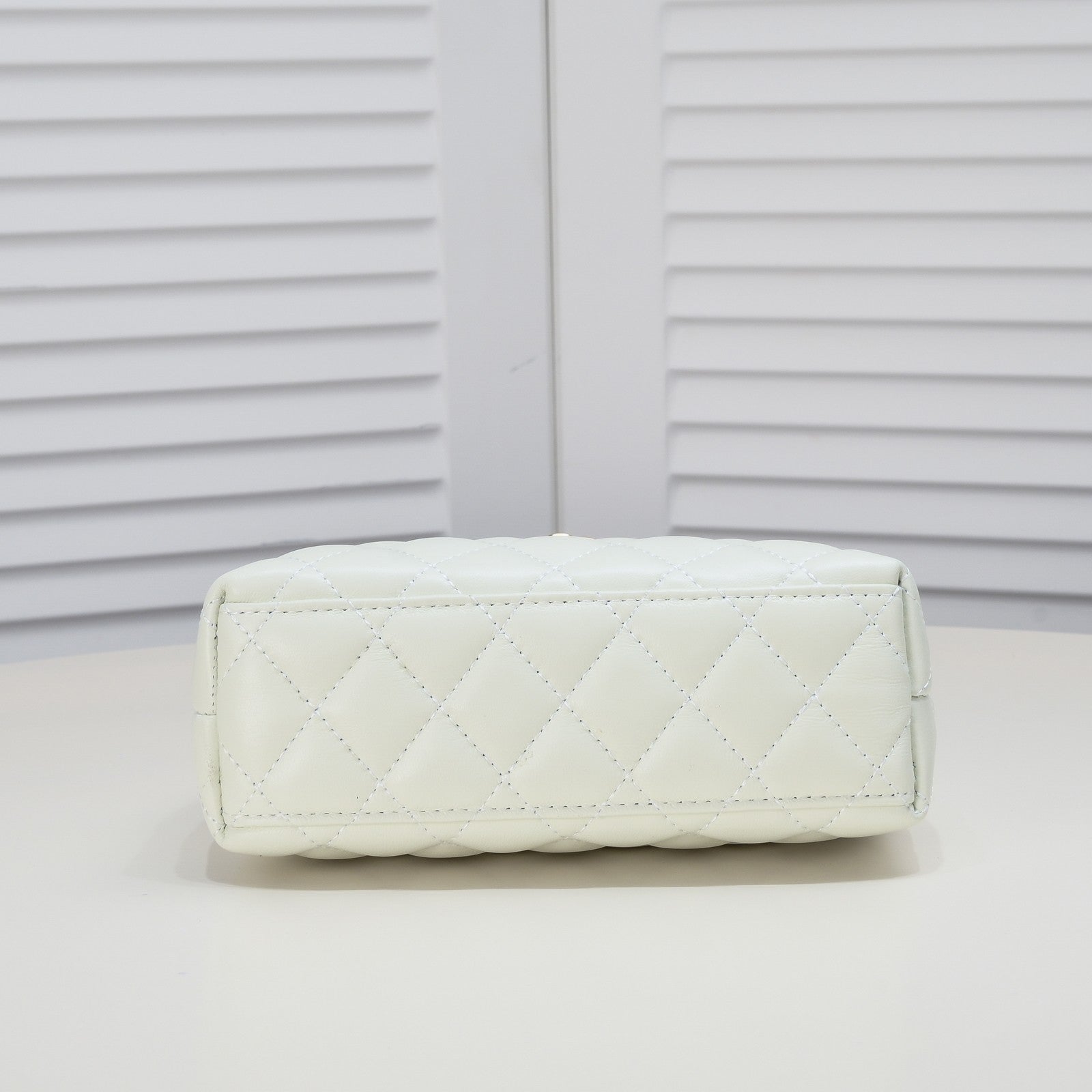 CAMELLIAS 19CM 6170 WHITE