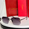 CARTIER SUNGLASSES