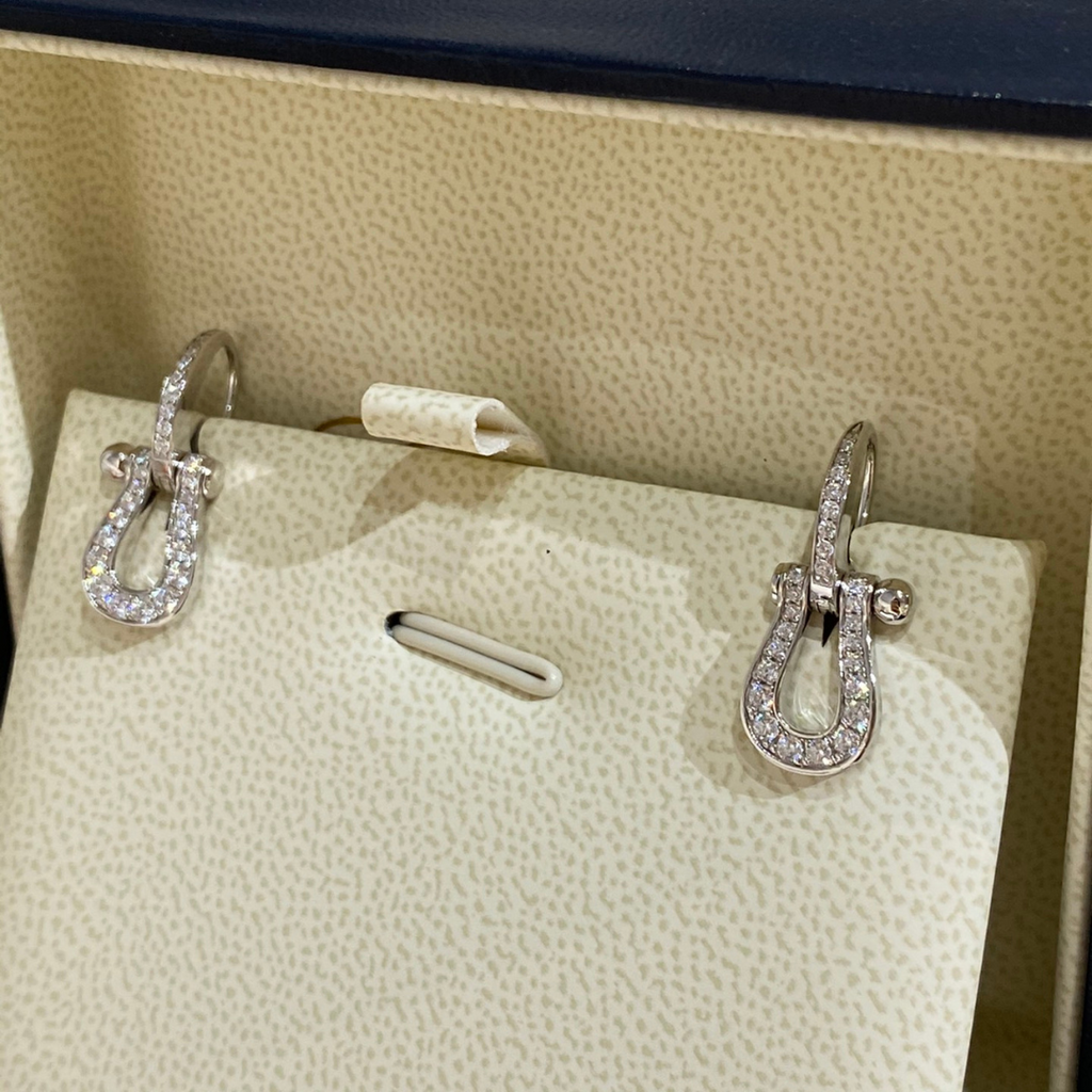 FORCE 10 EARRINGS
