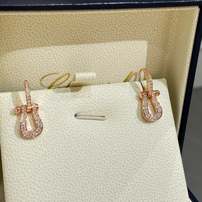 FORCE 10 EARRINGS
