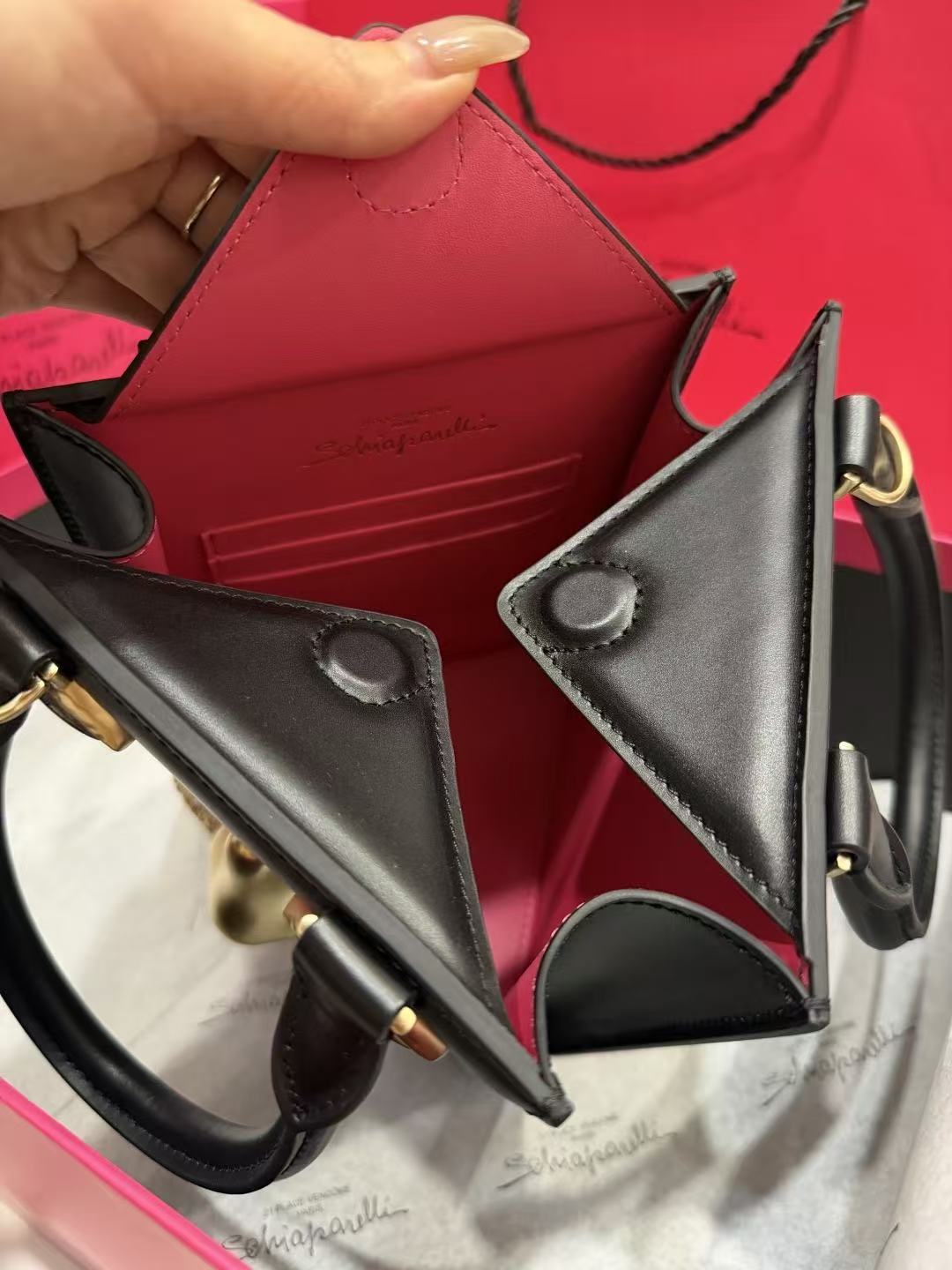 SCHIAPARELLI ANATOMY JEWELRY BAG 20 IN BLACK CALFSKIN