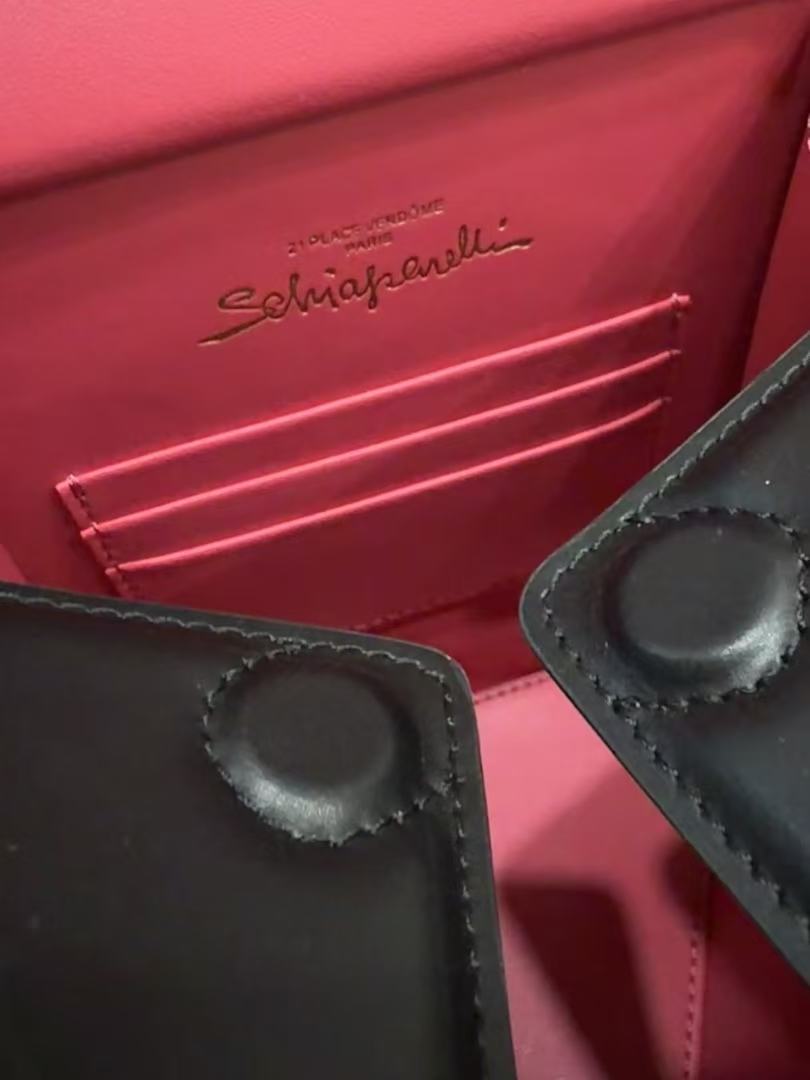 SCHIAPARELLI ANATOMY JEWELRY BAG 20 IN BLACK CALFSKIN