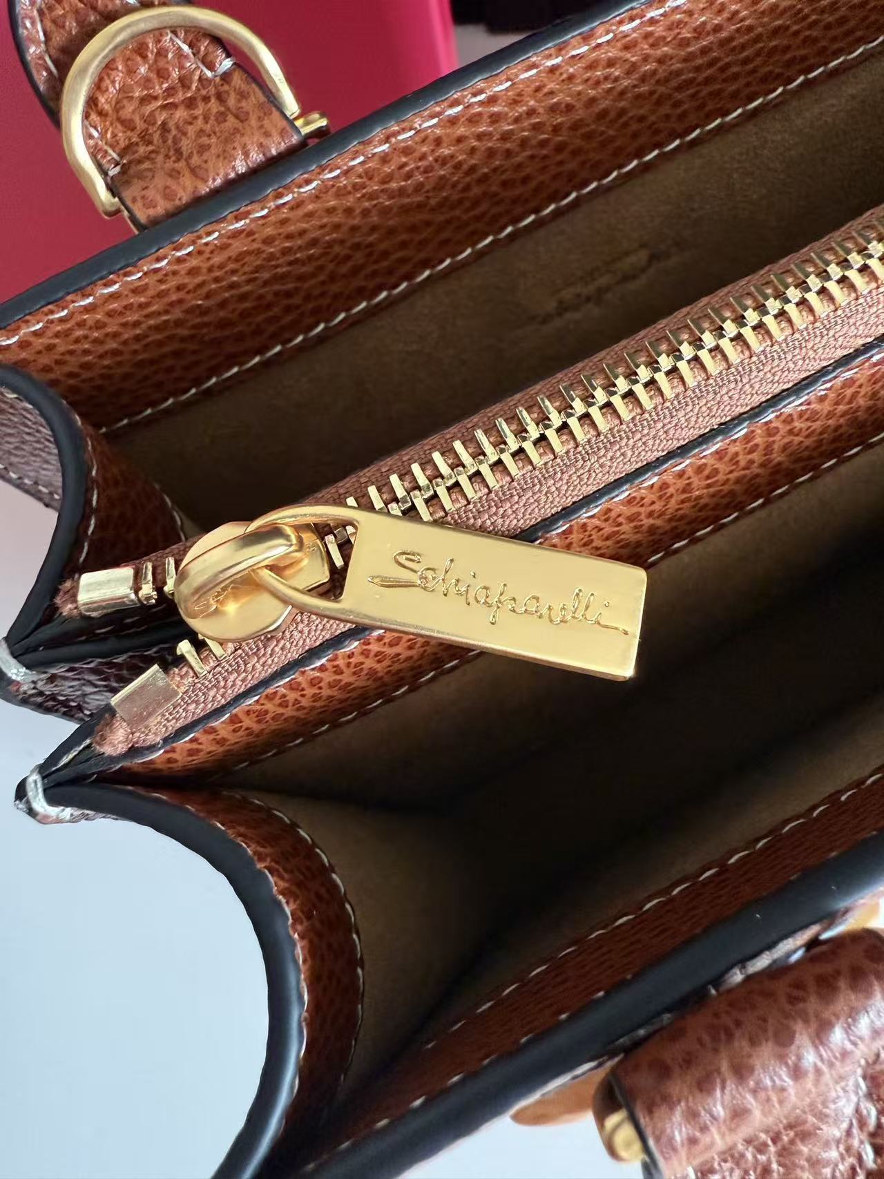 SCHIAPARELLI ANATOMY JEWELRY BAG 20 IN BROWN CALFSKIN