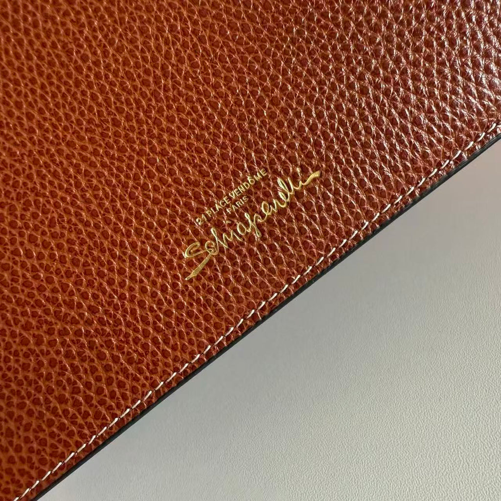 SCHIAPARELLI ANATOMY JEWELRY BAG 20 IN BROWN CALFSKIN