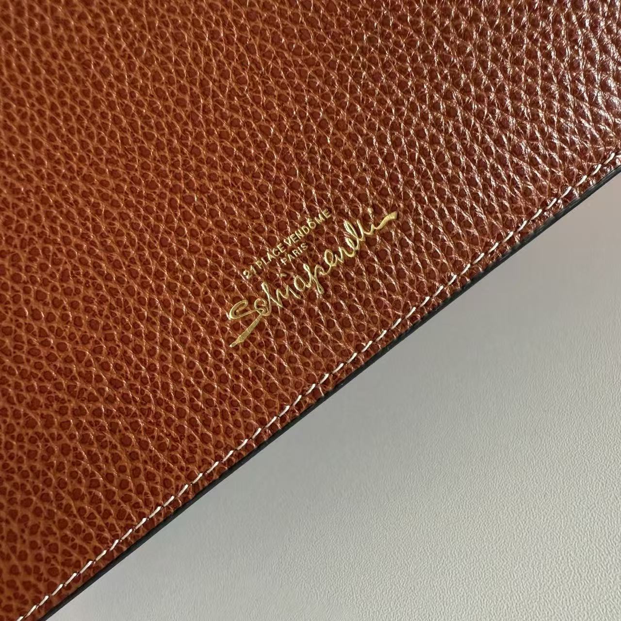 SCHIAPARELLI ANATOMY JEWELRY BAG 20 IN BROWN CALFSKIN