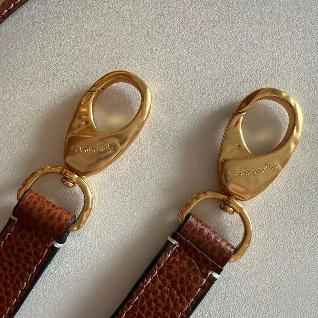 SCHIAPARELLI ANATOMY JEWELRY BAG 20 IN BROWN CALFSKIN