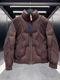 LV 25S DOWN JACKET 574443