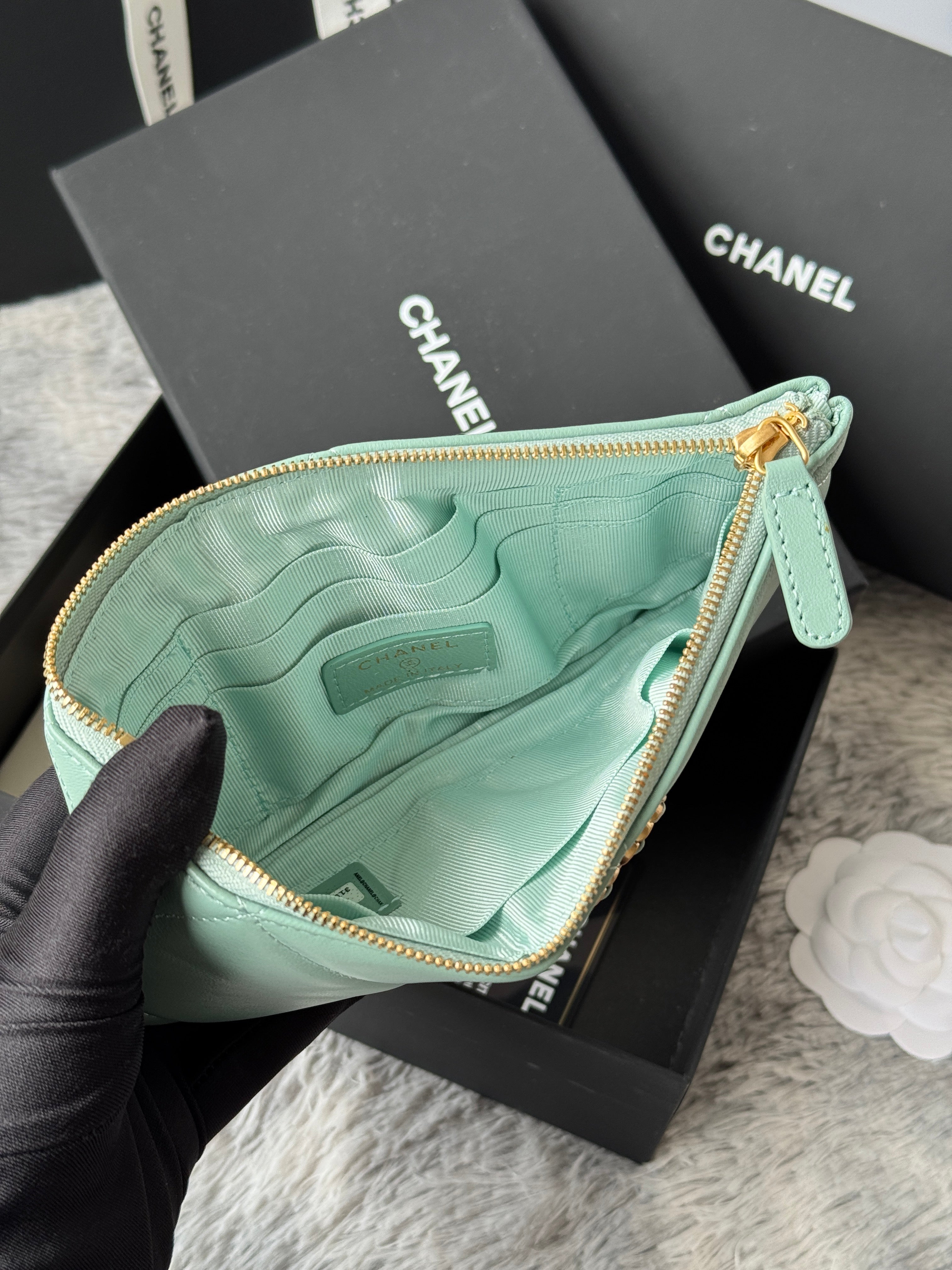 CLASSIC ZIPPER POUCH 20 IN BABY GREEN SMOOTH LAMBSKIN GOLD-TONE HARDWARE