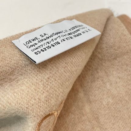 LOEWE 26S SCARF 190 IN CASHMERE 863680