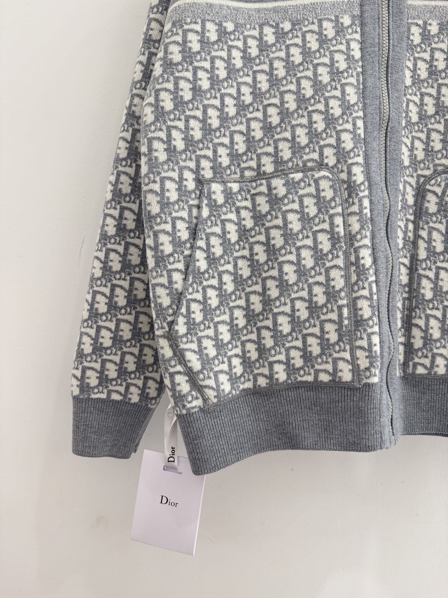 DIOR 25S ZIP-UP HOODIE 510