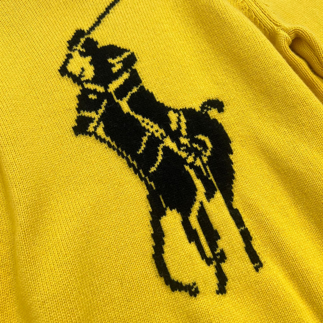 RALPH LAUREN 25S TURTLENECK SWEATER 255