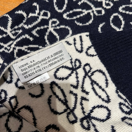 LOEWE 26S SCARF 190 IN CASHMERE WOOL 143458